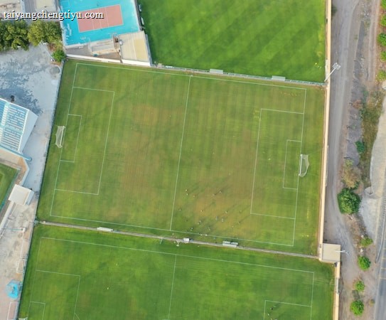 An aerial view of a sports complex featuring multiple green grass fields, including football pitches with marked goalposts. Adjacent to the fields is a blue-roofed building and a smaller area with a tennis or basketball court. Surrounding the complex, there's a road lined with trees and a dirt area with sparse vegetation.